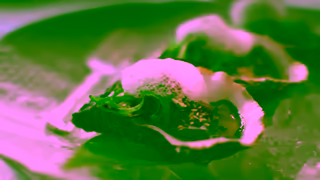 Crystal Cruises Nobu Dining at Sea Ad Commercial Brand Imagery Photoshoot 0