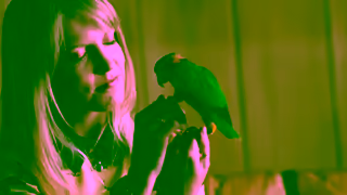 Post University If you want to start a career as a Pet Psychic were not the school for you Ad Commercial Brand Imagery Photoshoot 0