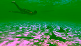 Tahiti Tourism Ressentez ce que nous vivons Tahiti Et Ses les 15 Ad Commercial Brand Imagery Photoshoot 1