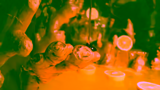 Pukka Herbs Discover a Blend of Herbal Wonder Lemon Ginger Manuka Honey Ad Commercial Brand Imagery Photoshoot 1