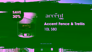 Accent Save 30% On Fence And Trellis Ad Commercial Brand Imagery Photoshoot 1