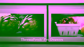 Thermador Thermadors New Collection Inspires Refrigeration Envy Ad Commercial Brand Imagery Photoshoot 1