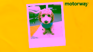 Motorway.co.uk A Motorway true story Brian and Sheila Ad Commercial Brand Imagery Photoshoot 2