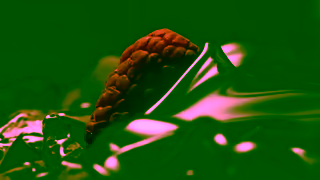 Ghirardelli Intensely Delicious Dark Chocolate Ghirardelli Intense Dark Squares Ad Commercial Brand Imagery Photoshoot 1