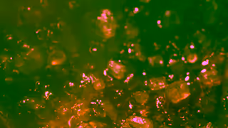 Arby's Arbys Brown Sugar Bacon Oh BSB Ad Commercial Brand Imagery Photoshoot 1