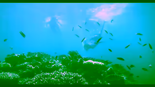 Vanuatu Tourism The Moment the kids came back to you Ad Commercial Brand Imagery Photoshoot 1