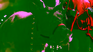 SeaWorld San Diego SWC24ChristmasCelebrationWondersMeetJoyBlackFridayMULTISvUpTo55PcYT15ENG Ad Commercial Brand Imagery Photoshoot 1