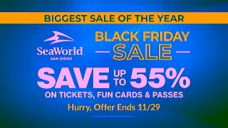 SeaWorld San Diego SWC24ChristmasCelebrationWondersMeetJoyBlackFridayMULTISvUpTo55PcYT15ENG Ad Commercial Brand Imagery Photoshoot 2