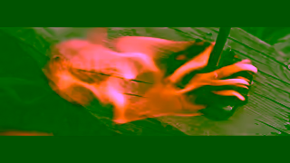 Kendra Scott Yellow Rose by Kendra Scott Ad Commercial Brand Imagery Photoshoot 2