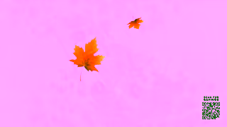 FAMILY FARE Savor the Flavors of Fall at Family Fare Ad Commercial Brand Imagery Photoshoot 2