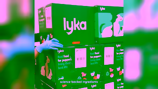 Lyka Pet Food Anna Story Health benefits 16x9 Ad Commercial Brand Imagery Photoshoot 2