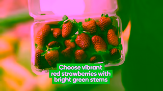 Woolworths This Weeks Fresh Market Update with Woolworths Ad Commercial Brand Imagery Photoshoot 2