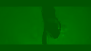 Universal Pictures Night Swim In theaters Friday TV SPOT 54f Ad Commercial Brand Imagery Photoshoot 1
