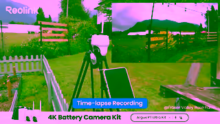 Reolink adargus pt ultra home hub kit169enFraser Valley Rose Farm 2 Ad Commercial Brand Imagery Photoshoot 1