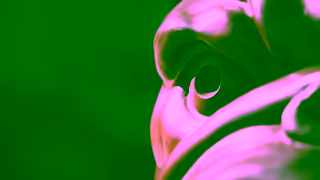 Gonzaga University Communications MA Success Story Sean Greenwood of Ben and Jerrys Gonzaga University Online Ad Commercial Brand Imagery Photoshoot 2