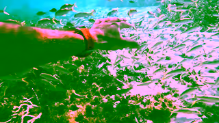 Hamilton Watch Add a splash of sunshine to your summer look with the new Khaki Navy Scuba 40mm in a vibrant orange Ad Commercial Brand Imagery Photoshoot 1