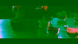 Red Rock Deli RRD Lime and Black Pepper Ad Commercial Brand Imagery Photoshoot 1