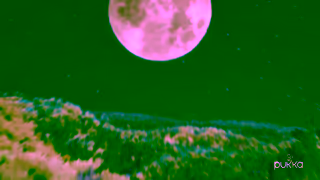 Pukka Herbs A good night starts with Pukka Night Time tea Ad Commercial Brand Imagery Photoshoot 1