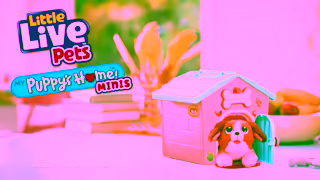 Little Live Pets LITTLE LIVE PETS I PUPPYS HOME MINIS TVC I 6 Ad Commercial Brand Imagery Photoshoot 0