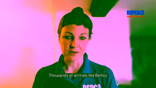 RSPCA.org.uk inspectorcrueltystorysupporterroleberliozneedledsummer1920x1080 Ad Commercial Brand Imagery Photoshoot 0