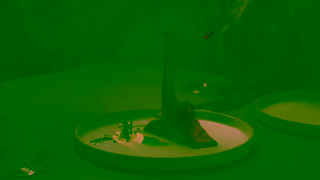 Aussie Beef The Greatest Kitchen 6 The reveal Ad Commercial Brand Imagery Photoshoot 1