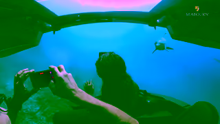 Seabourn Cruises Seabourn UltraLuxury Cruises Ad Commercial Brand Imagery Photoshoot 0