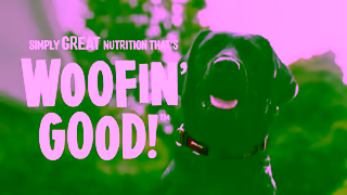 Coles Woofin Good Peanut Butter Biscuits Ad Commercial Brand Imagery Photoshoot 0