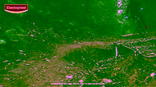 Elastoplast Elastoplast YT Performance Dog 16 9 15secs Ad Commercial Brand Imagery Photoshoot 1