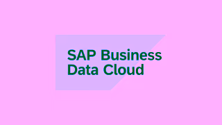 SAP SAP Business Data Cloud Ad Commercial Brand Imagery Photoshoot 2