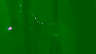 TONAL NFA Tonal2 Brand Film 30 T3 Ad Commercial Brand Imagery Photoshoot 1