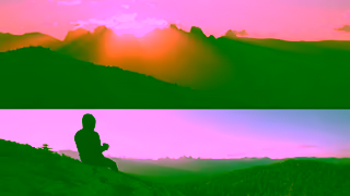 Homestead Roast Fuel Your Wild Ad Commercial Brand Imagery Photoshoot 2