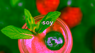 Hol Food What is Hol Food Ad Commercial Brand Imagery Photoshoot 1