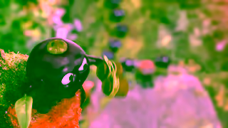 Ribena Ribena Summertime 20s UK Unclocked ProRes422HQ Ad Commercial Brand Imagery Photoshoot 1