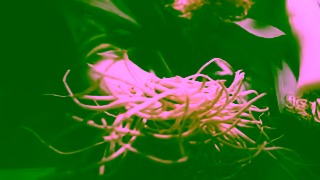 Invesco Tom Colicchio x Invesco QQQ Ad Commercial Brand Imagery Photoshoot 0