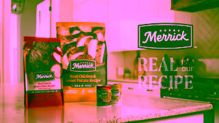 Merrick Pet Care Feed Them Like Family Fresh Dog Food Made with Love Ad Commercial Brand Imagery Photoshoot 2