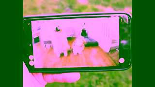 Furbo Furbo Minilokistagrammov Furbo Dog Camera Ad Commercial Brand Imagery Photoshoot 2