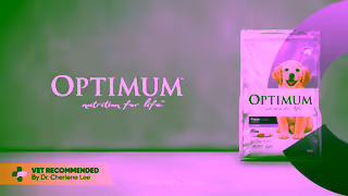 Optimum Pet OPTIMUM Lucky You Do Puppy 16x9 6s 2025 Ad Commercial Brand Imagery Photoshoot 2