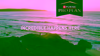 Purina Pro Plan Fuel your incredible life together Ad Commercial Brand Imagery Photoshoot 0