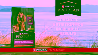 Purina Pro Plan Fuel your incredible life together Ad Commercial Brand Imagery Photoshoot 2