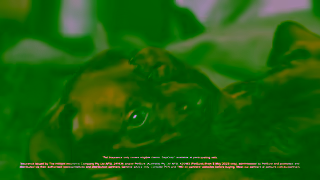 GapOnly Accidents happen Ad Commercial Brand Imagery Photoshoot 1