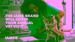 IAMS IAMS CUC CAT 06 16x9 Ad Commercial Brand Imagery Photoshoot 1