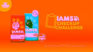 IAMS IAMS CUC CAT 06 16x9 Ad Commercial Brand Imagery Photoshoot 2