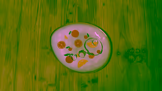 Cricut Cricut Joy Upcycling Furniture plate Ad Commercial Brand Imagery Photoshoot 2