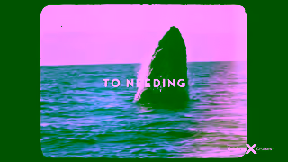 Celebrity Cruises Nothing Comes Close Ad Commercial Brand Imagery Photoshoot 1