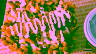 Harvey's Triple Pickle Poutine Ad Commercial Brand Imagery Photoshoot 2