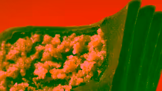 Reese's Nutty Cravings Ad Commercial Brand Imagery Photoshoot 0