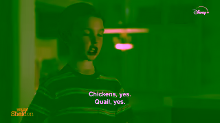 Disney Plus Young Sheldon Now streaming on Disney Ad Commercial Brand Imagery Photoshoot 0