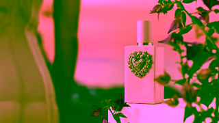 Dolce & Gabbana DG BEAUTY MY DEVOTION TALENT VIDEO Ad Commercial Brand Imagery Photoshoot 2