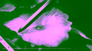 Samsung Tab S9 Launch Film Ad Commercial Brand Imagery Photoshoot 1