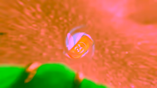 Sol de Janeiro Spritz On The Irresistible Ad Commercial Brand Imagery Photoshoot 0